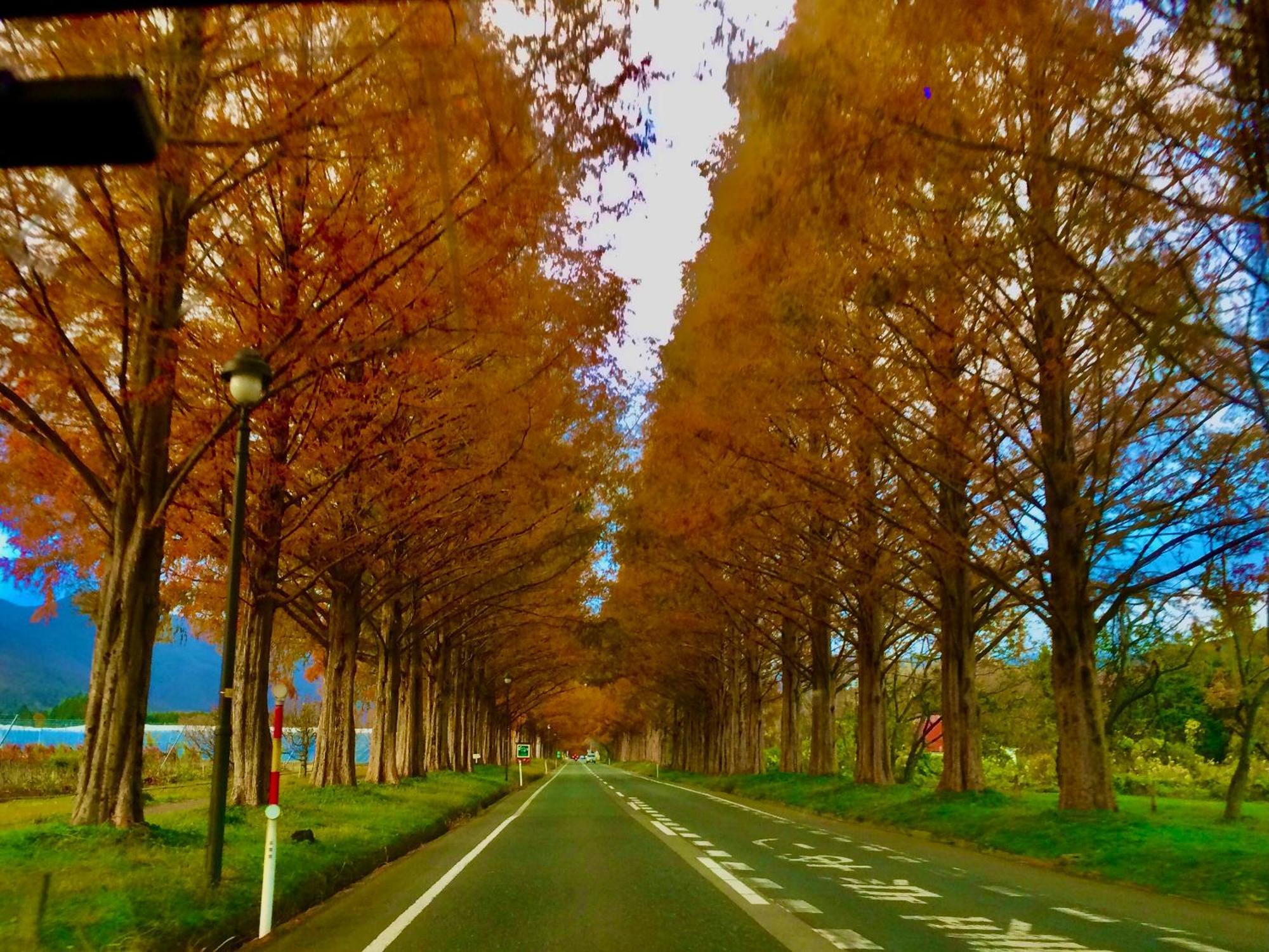 Koke Musu Inn Ōtsu Exterior foto