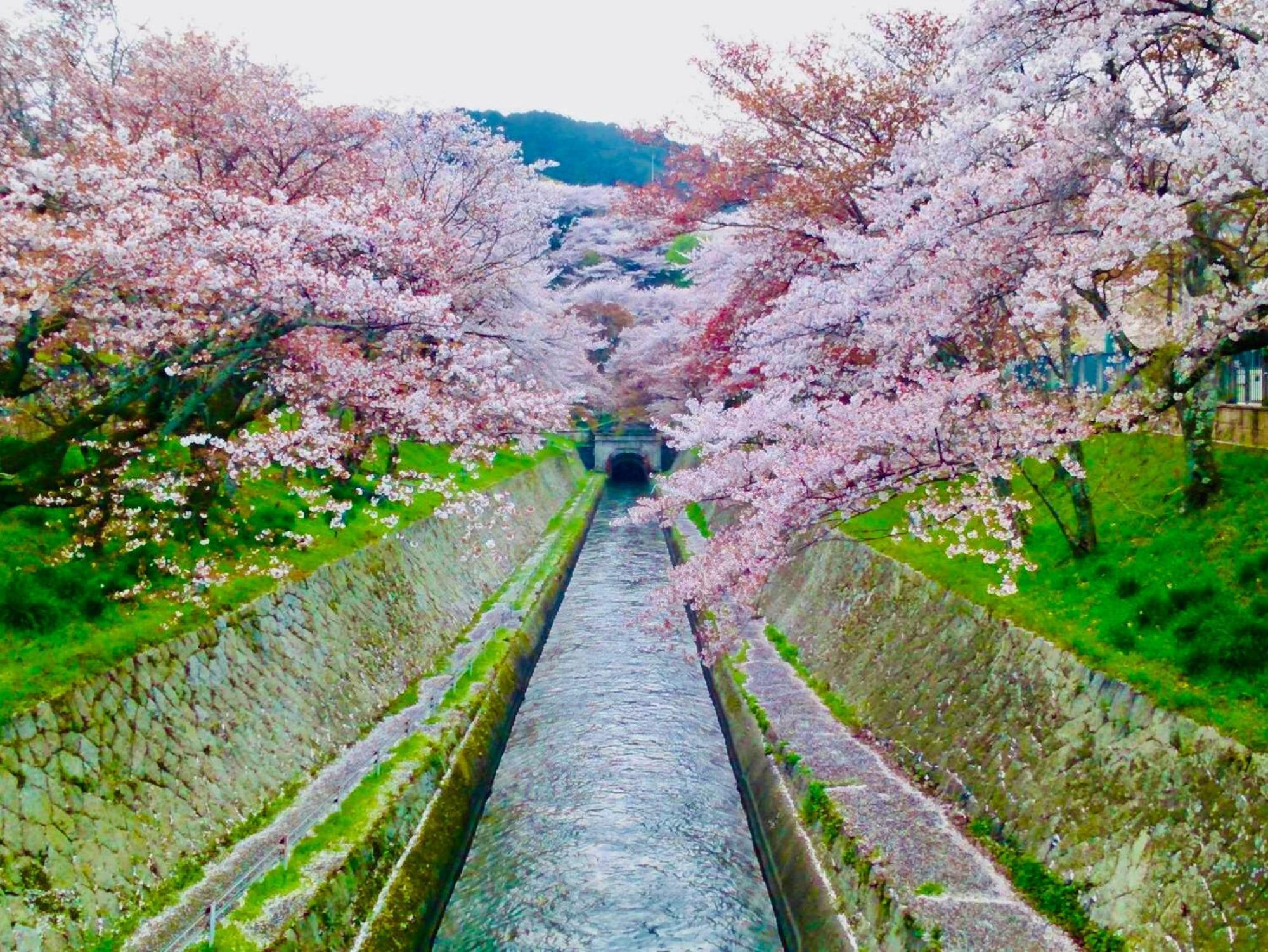 Koke Musu Inn Ōtsu Exterior foto