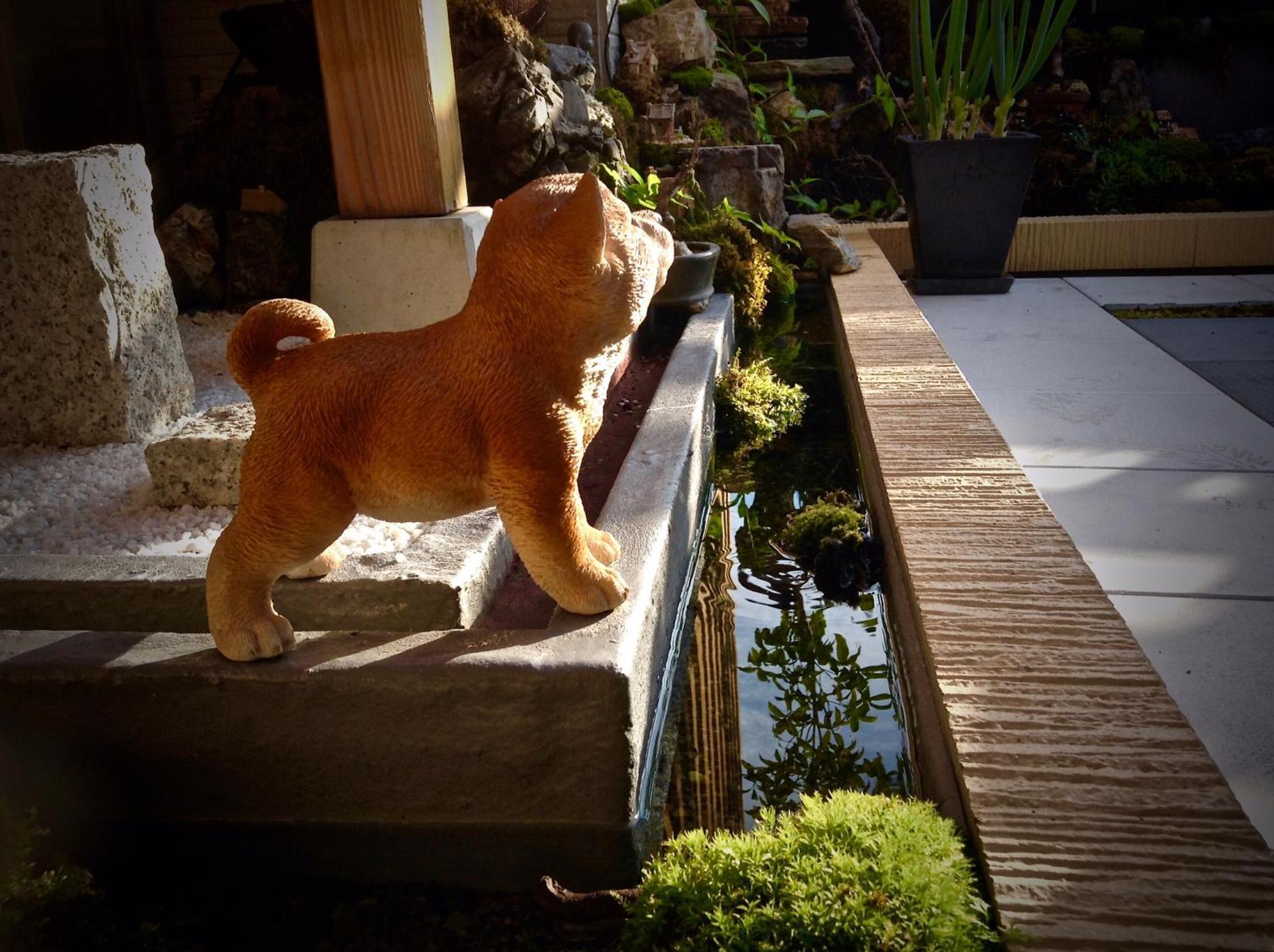 Koke Musu Inn Ōtsu Exterior foto