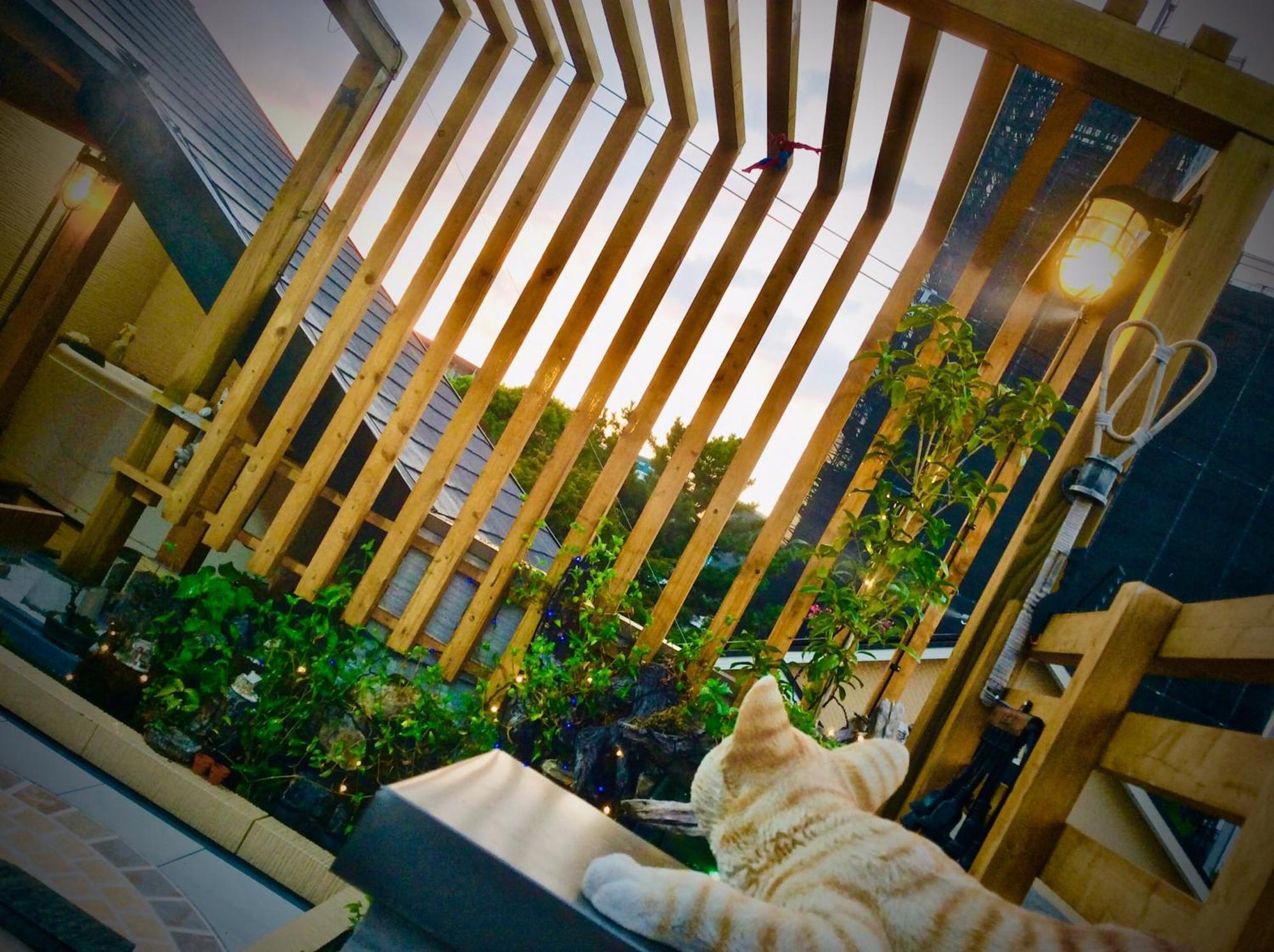 Koke Musu Inn Ōtsu Exterior foto